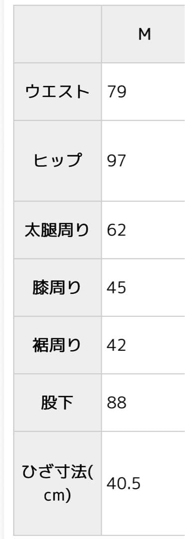 DEGNER レザーパンツ Mサイズ ブラック DP15