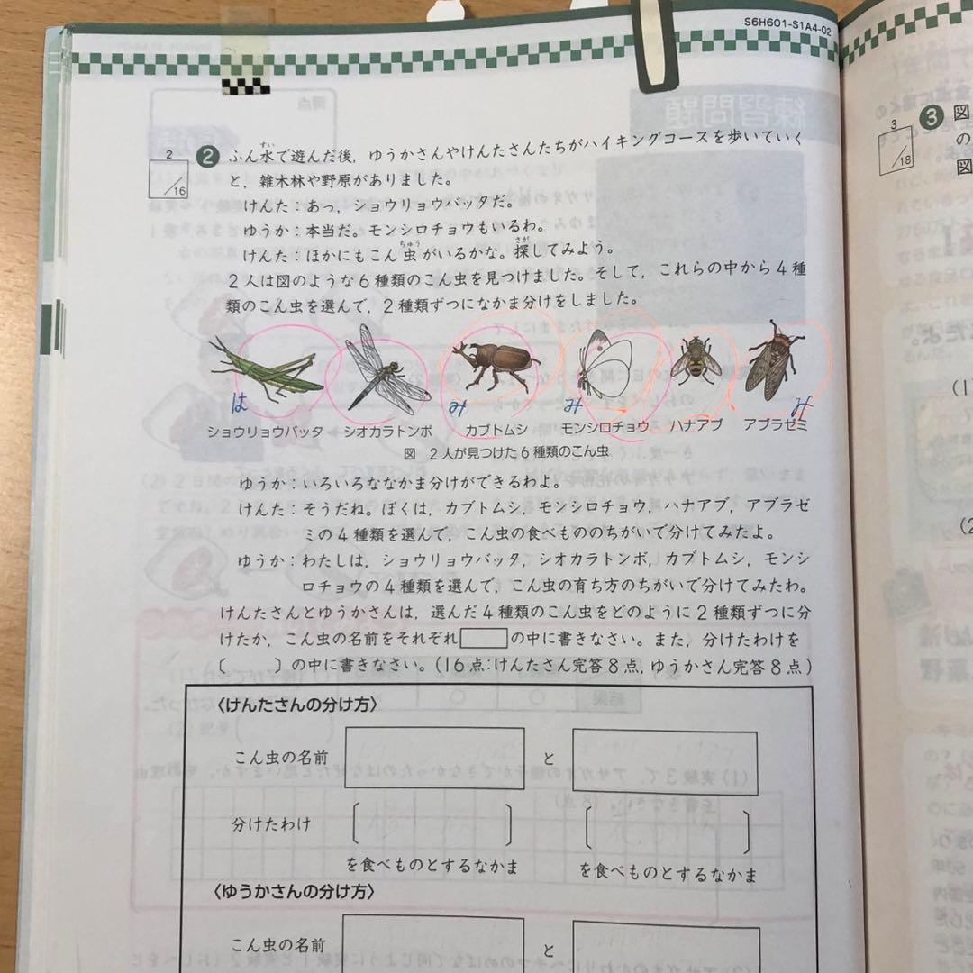 z会 エブリスタディ公立中高一貫校ハイレベル適性検査一式　小6