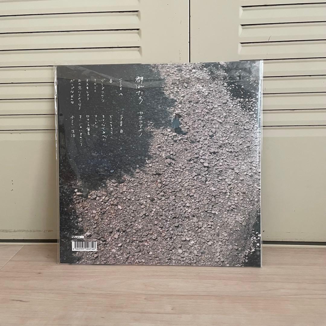 【美品・レア】群れたち　カネコアヤノ　レコード