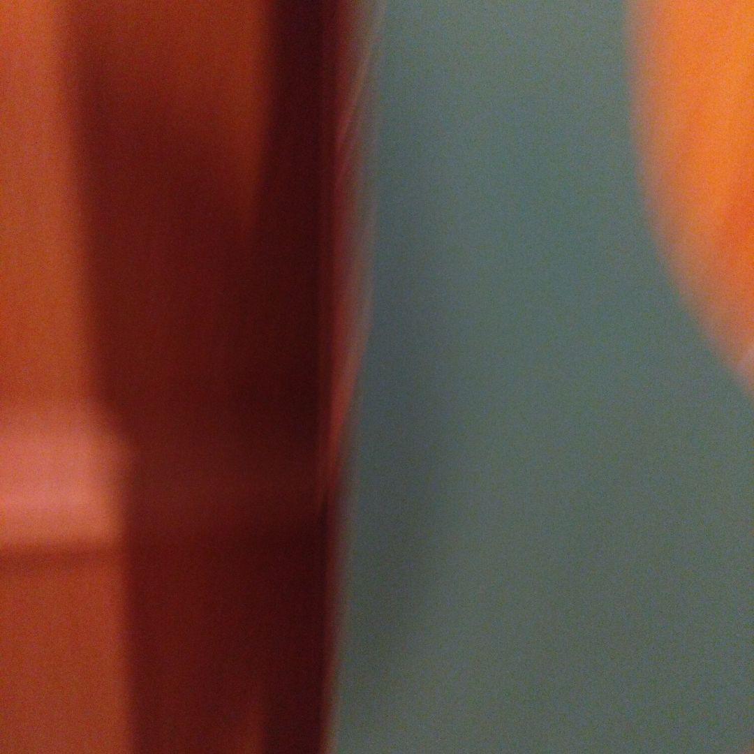 スノーボード SALOMON RUMBLE FISH 21-22 144cm