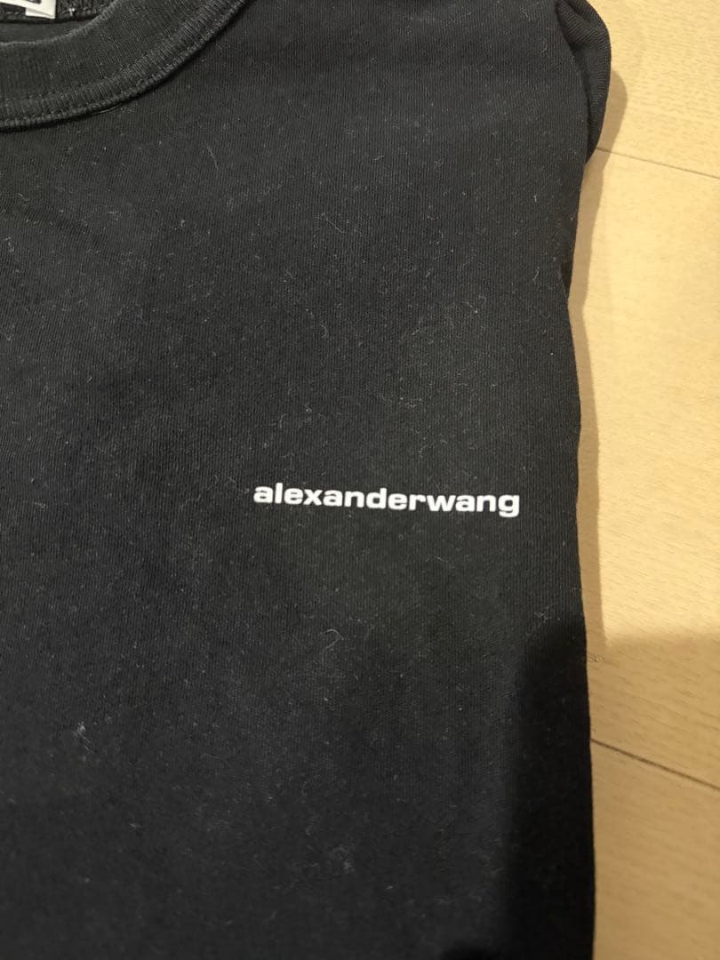 アレキサンダーワン　トレーナー　ロンT ２枚セット