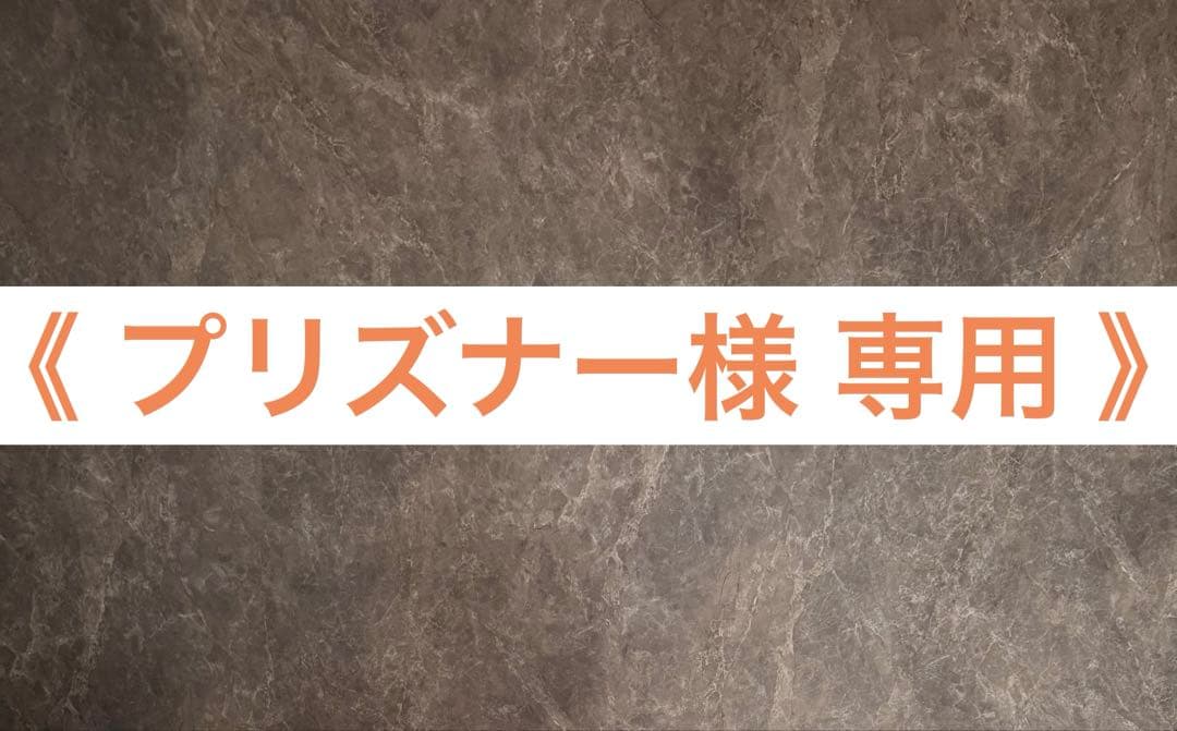 《 プリズナー 》①