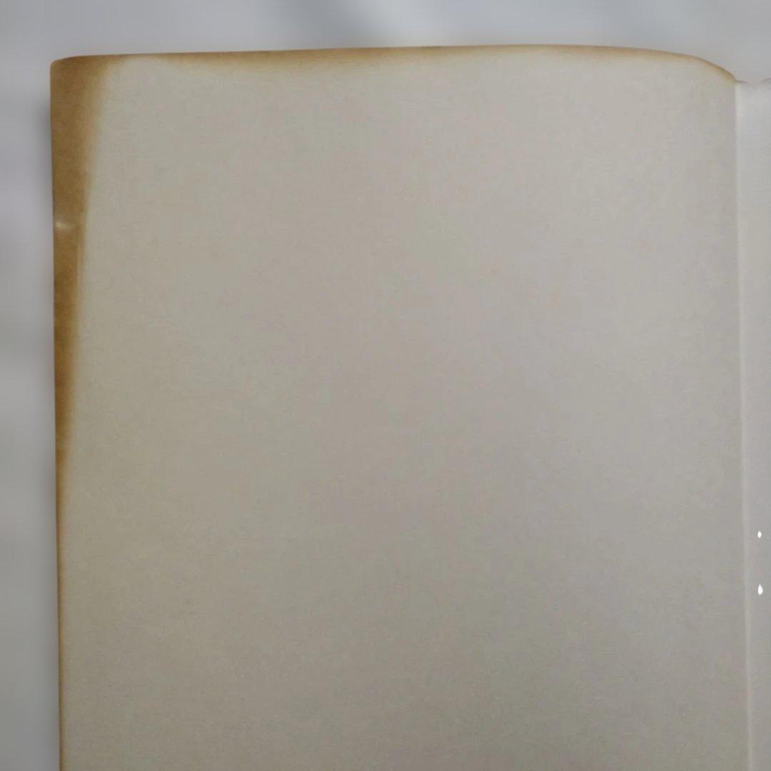 [洋書]　THE ART OF MILES DAVIS マイルスデイヴィス