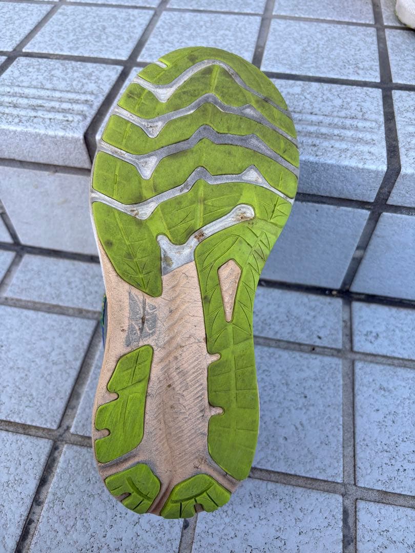 希少！！ASICS GT-2000 11 LITE-SHOW