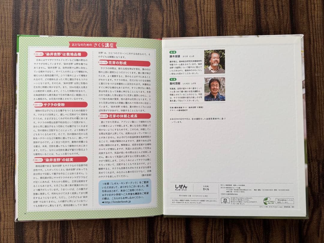 キンダーブックしぜん　さくら　春の花