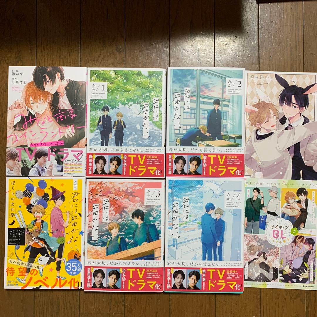 商業BL まとめ売り 58冊セット