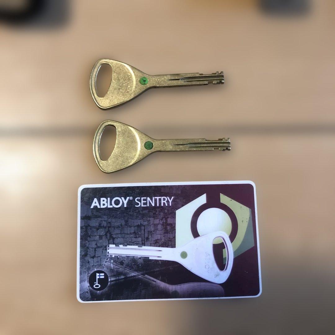 ABLOY KML-01EVO ハンドルロック　ランクル　300系　盗難　防止