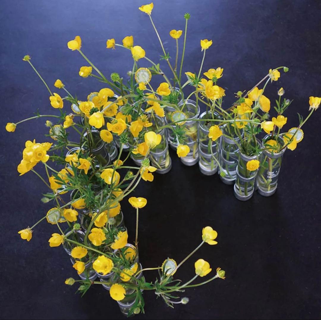 ツェツェ・アソシエ 四月の花器 Mサイズ Tsé&Tsé associées