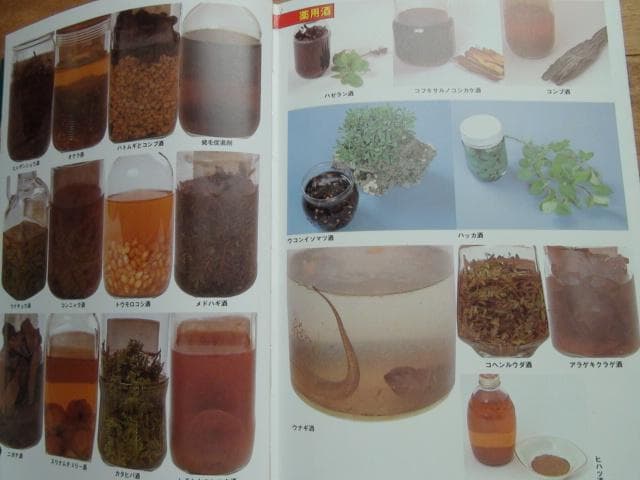 おきなわの薬草百科 多和田真淳