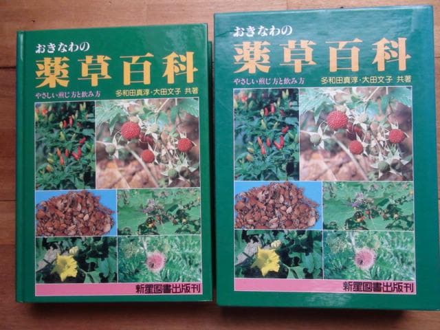 おきなわの薬草百科 多和田真淳