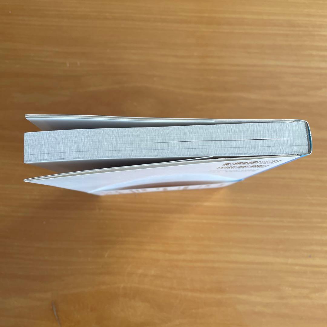 現代写真論 コンテンポラリーアートとしての写真のゆくえ