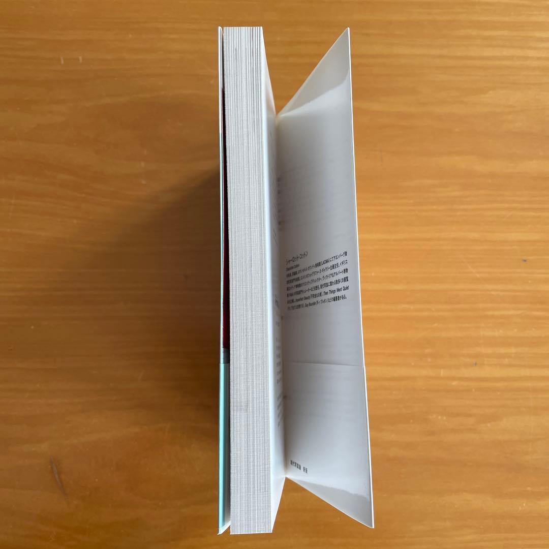 現代写真論 コンテンポラリーアートとしての写真のゆくえ