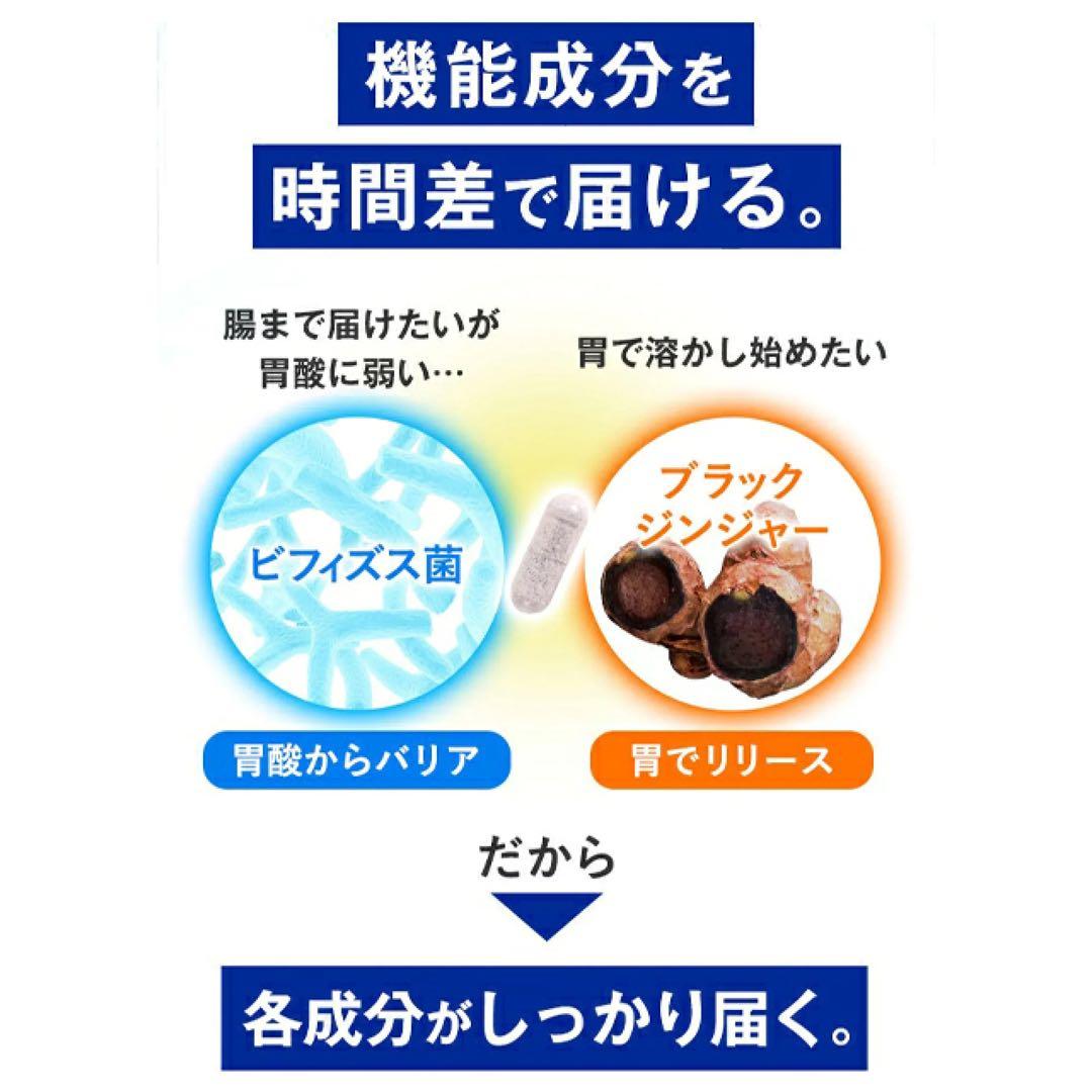 ファンケル 内脂サポート 30日分8袋〈240日分〉