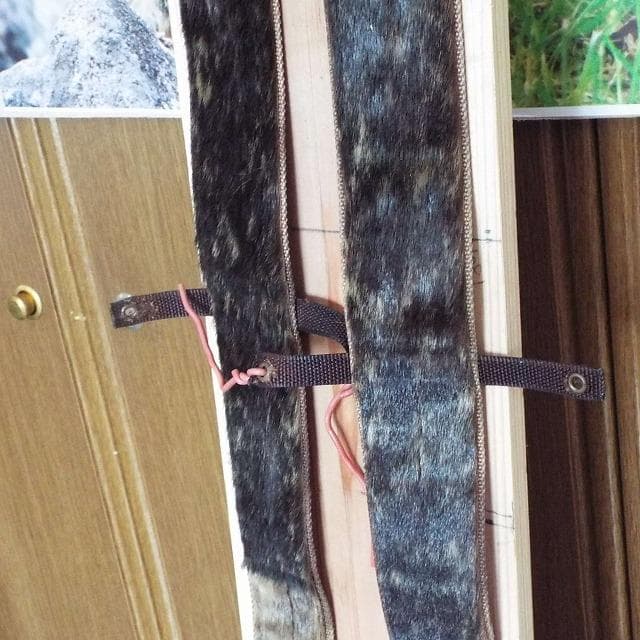 超希少_美品_アザラシ本革シール_山スキー用_補強有