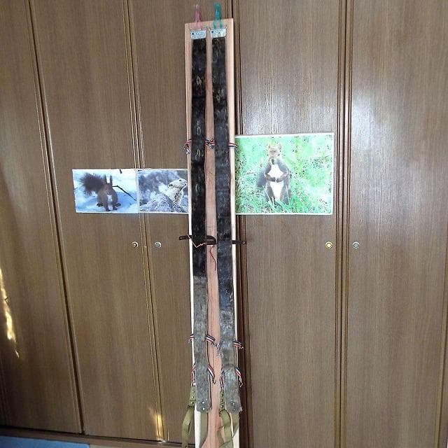 超希少_美品_アザラシ本革シール_山スキー用_補強有