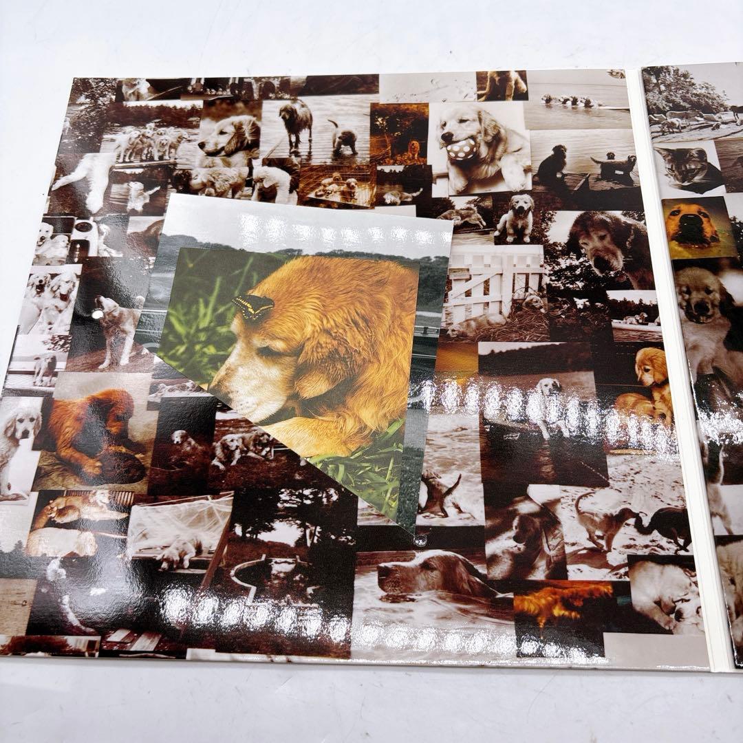 A Letter to True トゥルーへの手紙 コレクターズ・ボックス Z