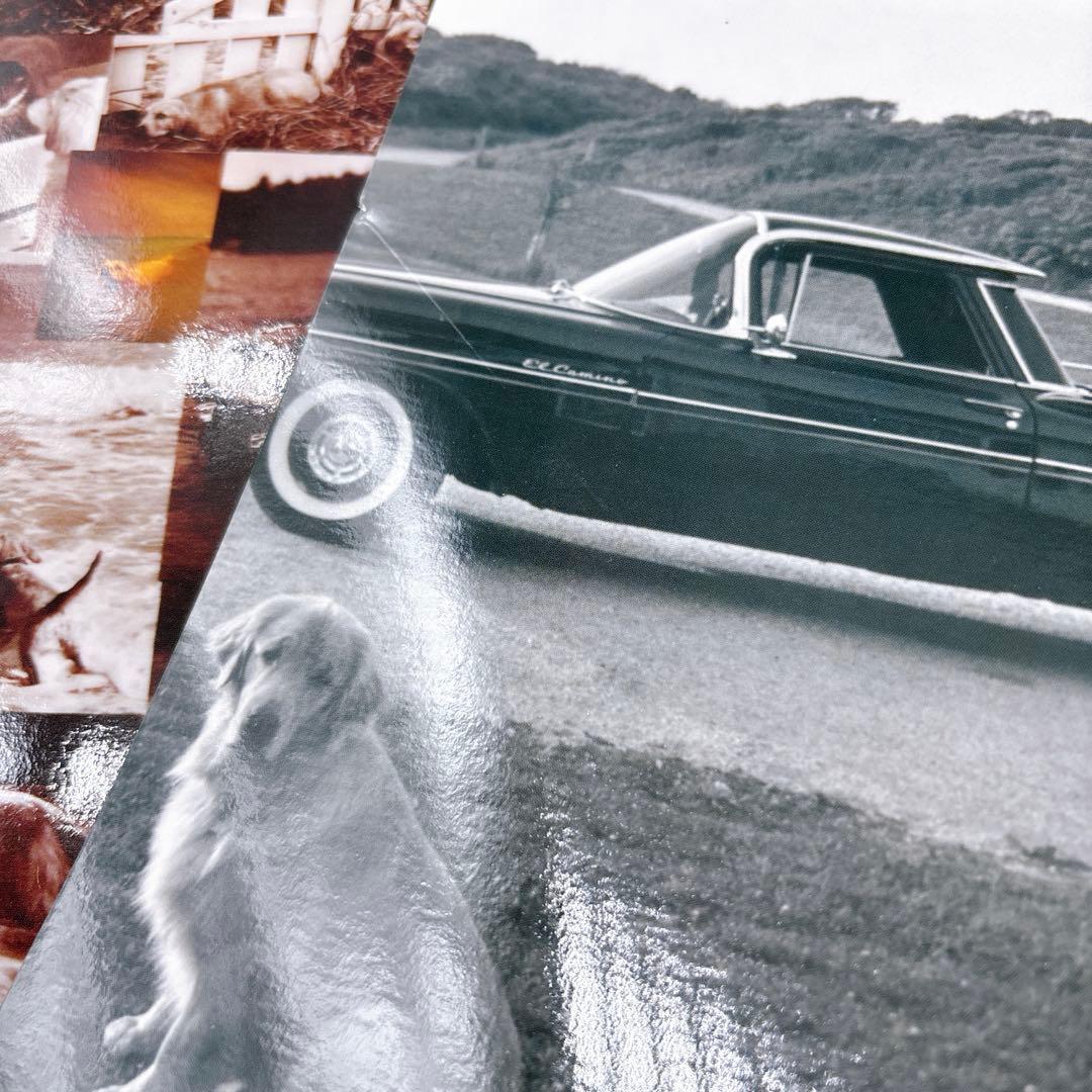 A Letter to True トゥルーへの手紙 コレクターズ・ボックス Z