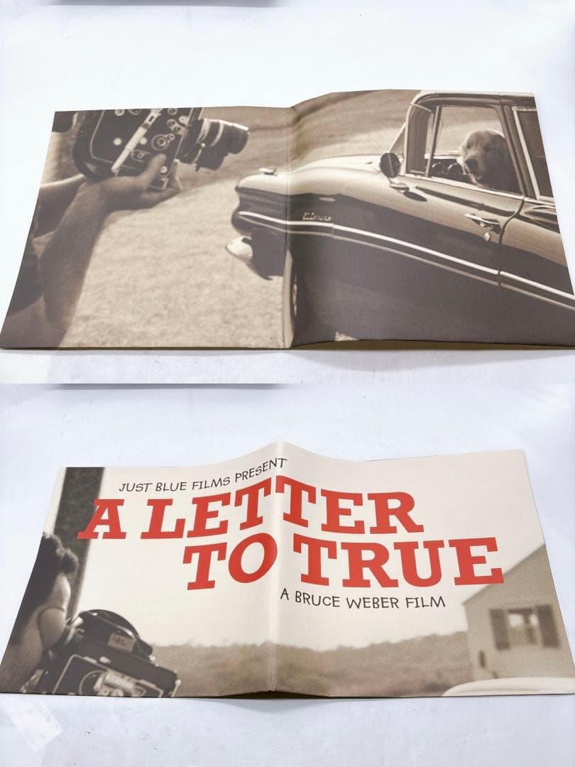 A Letter to True トゥルーへの手紙 コレクターズ・ボックス Z