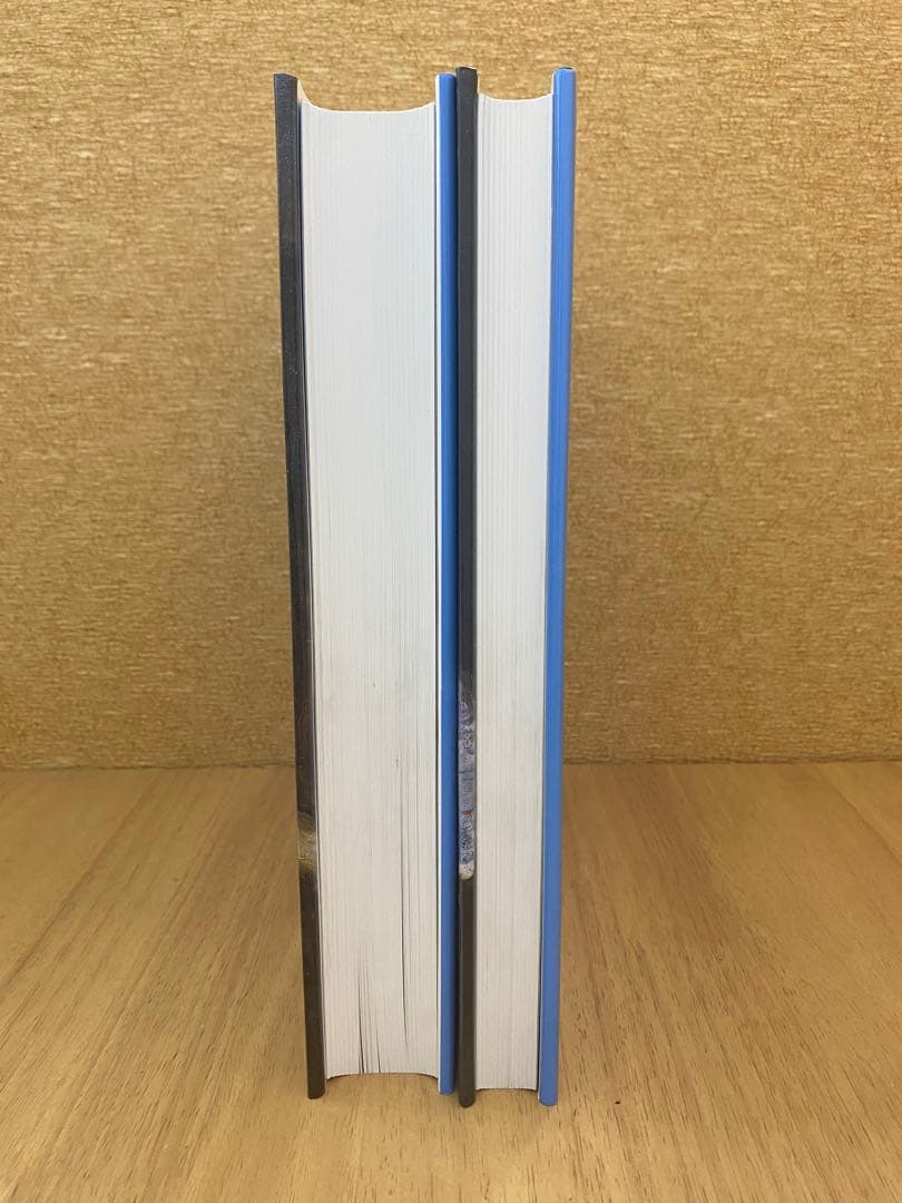 シャイムスーティン 2冊組 カタログレゾネ Catalogue Raisonne