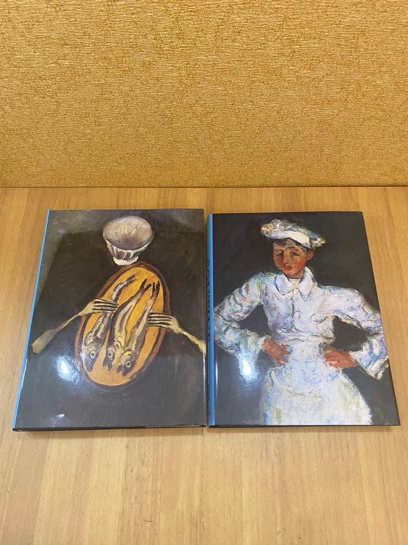 シャイムスーティン 2冊組 カタログレゾネ Catalogue Raisonne