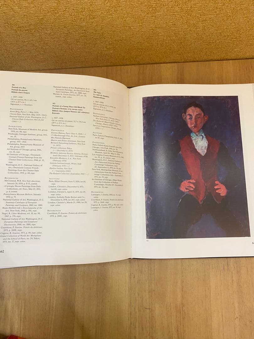 シャイムスーティン 2冊組 カタログレゾネ Catalogue Raisonne