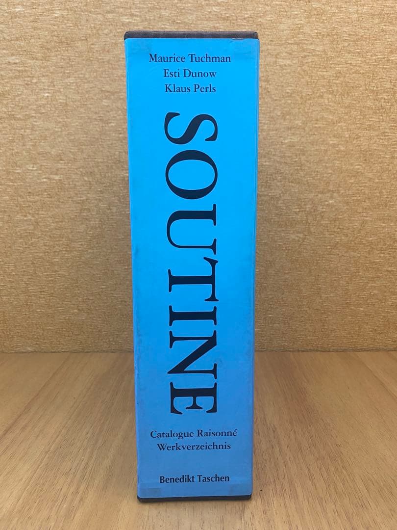 シャイムスーティン 2冊組 カタログレゾネ Catalogue Raisonne