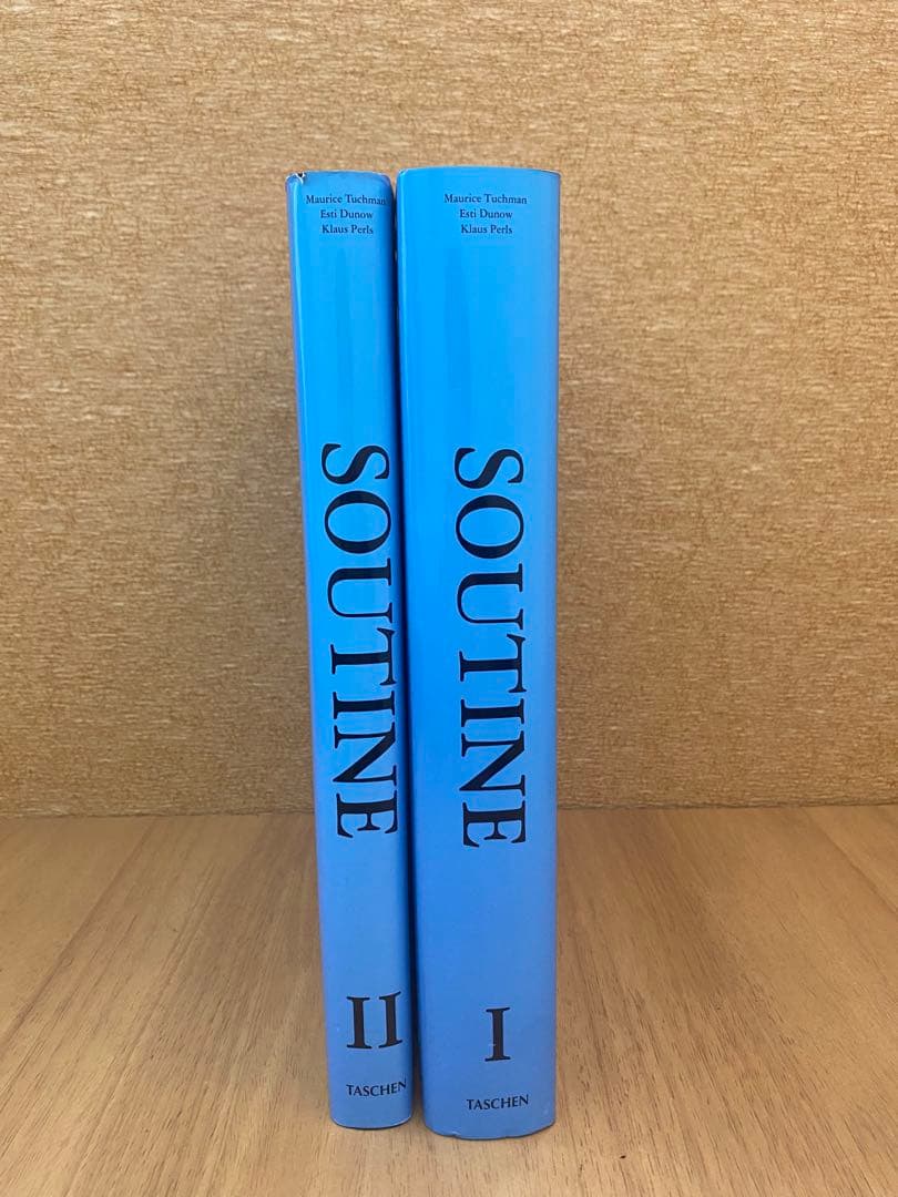 シャイムスーティン 2冊組 カタログレゾネ Catalogue Raisonne