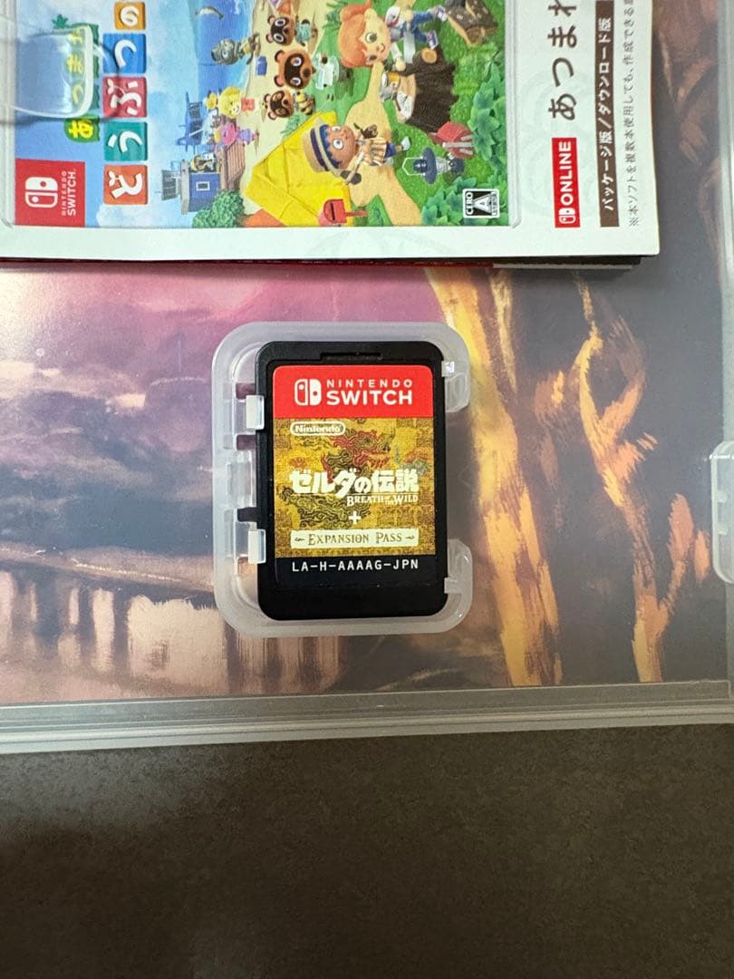 ゼルダの伝説 ブレスオブザワイルド エキスパンション