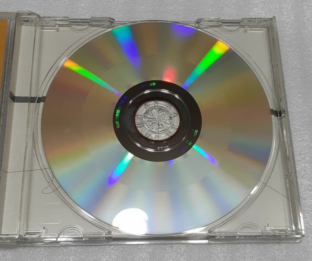 邦楽 DayLightFever CD