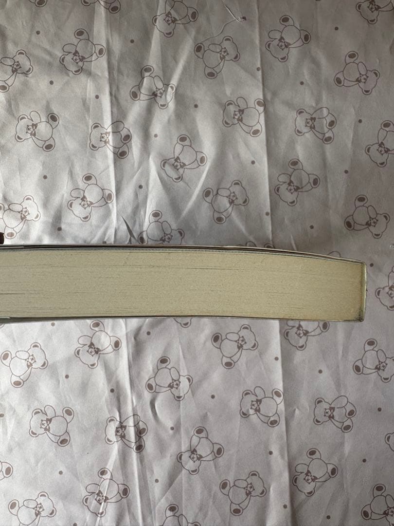 レア❣️ 本人直筆サイン入り　中国拳法　少林寺拳法　形意拳　中国語勉強