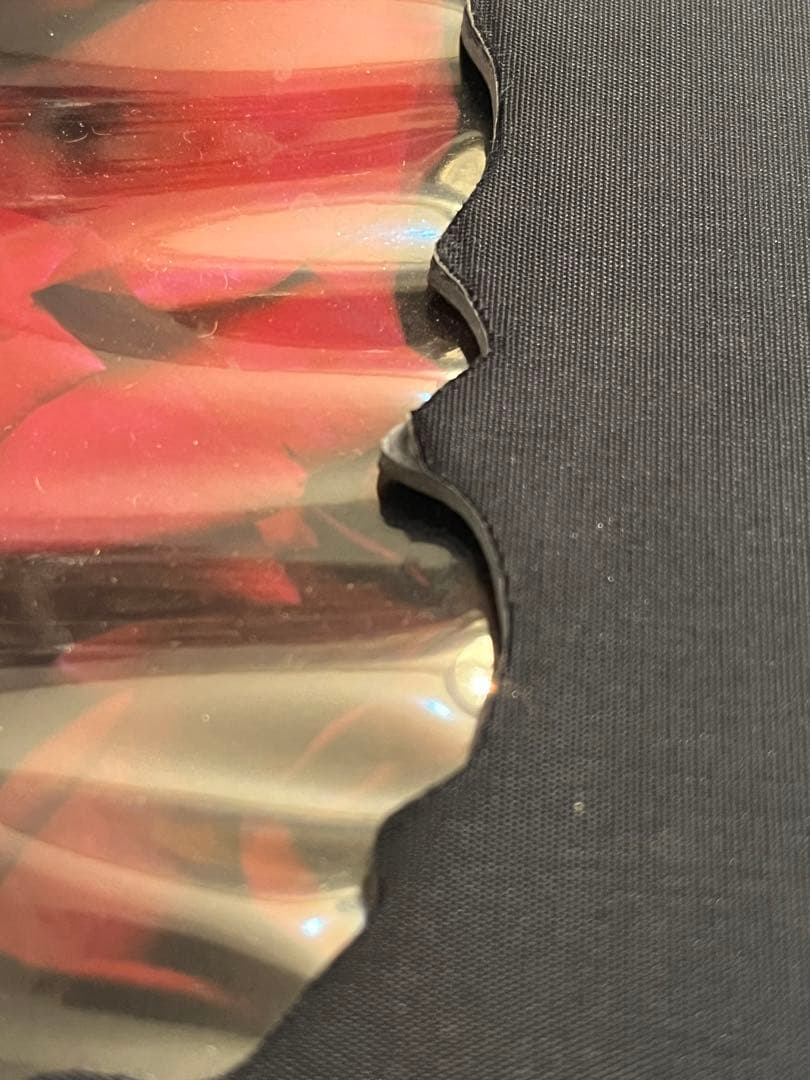 VISIONAIRE 40 DAVID SIMS / ROSES サイン本