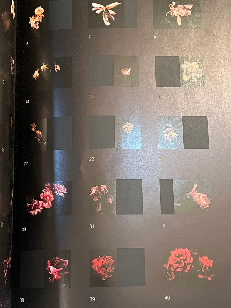 VISIONAIRE 40 DAVID SIMS / ROSES サイン本