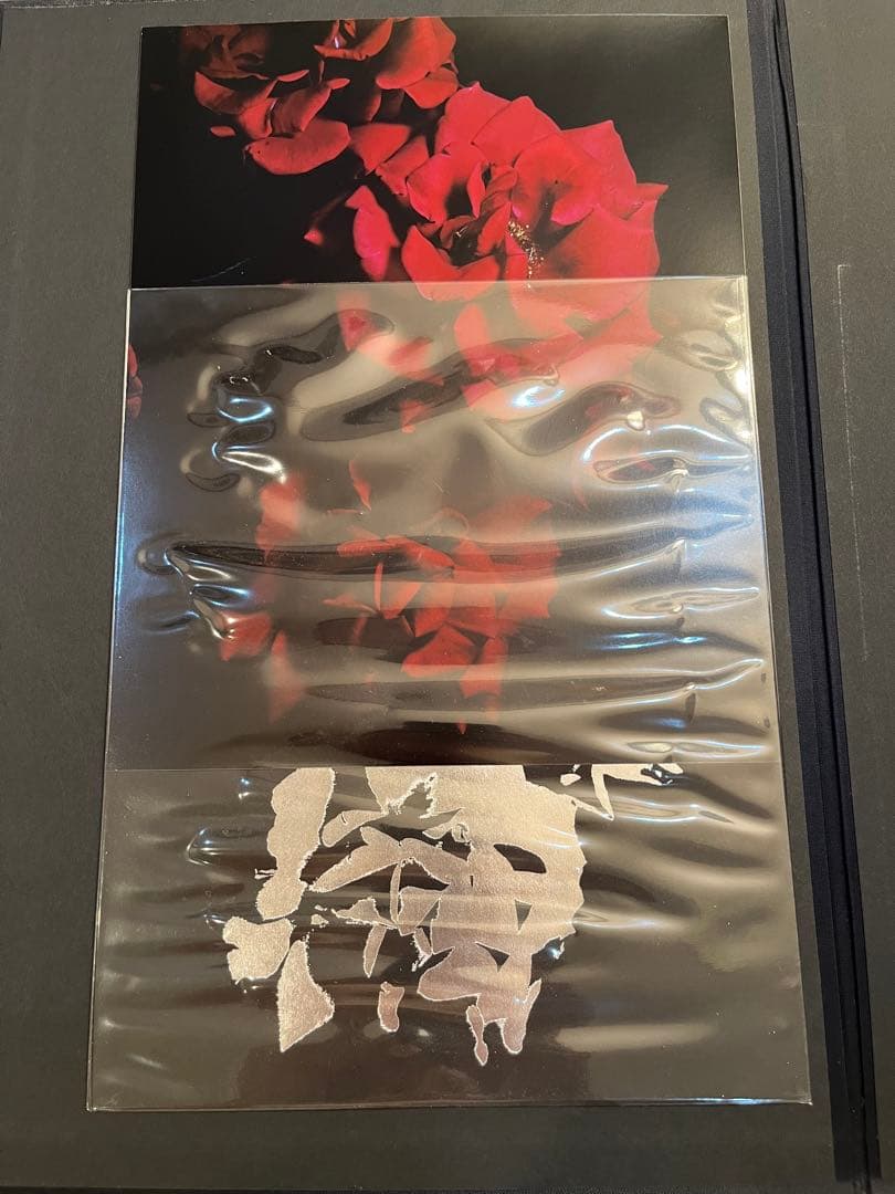 VISIONAIRE 40 DAVID SIMS / ROSES サイン本