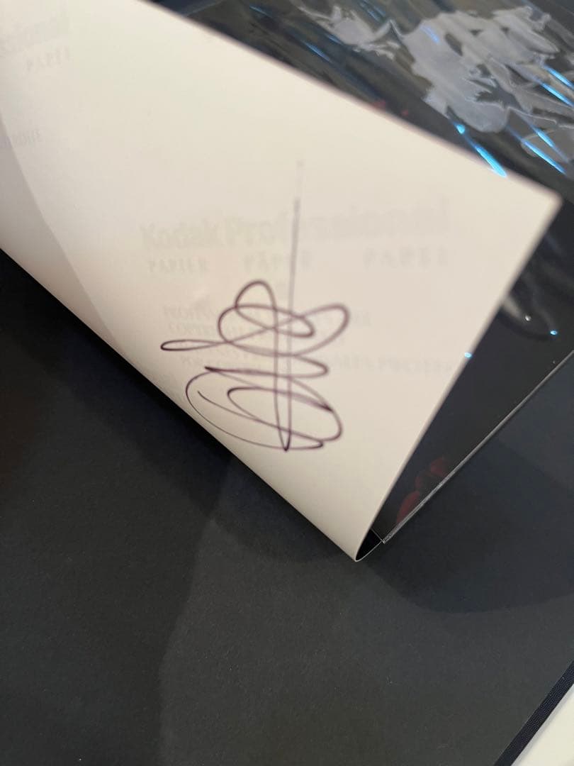 VISIONAIRE 40 DAVID SIMS / ROSES サイン本