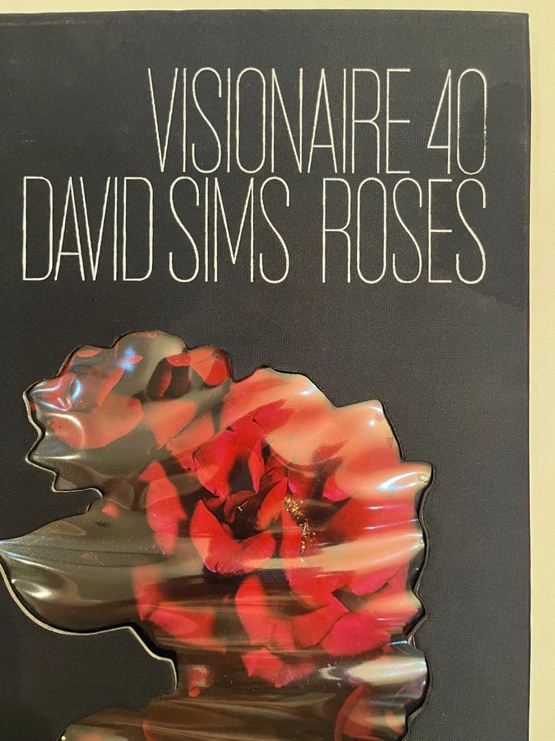 VISIONAIRE 40 DAVID SIMS / ROSES サイン本