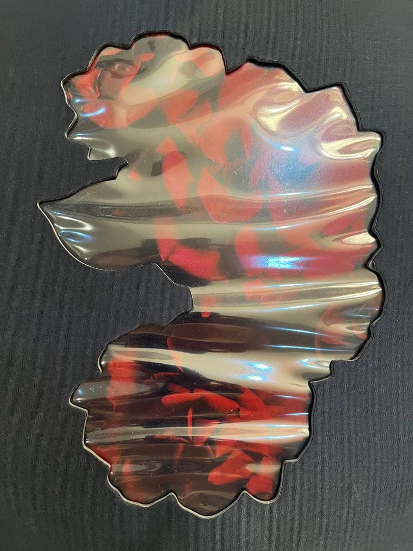 VISIONAIRE 40 DAVID SIMS / ROSES サイン本