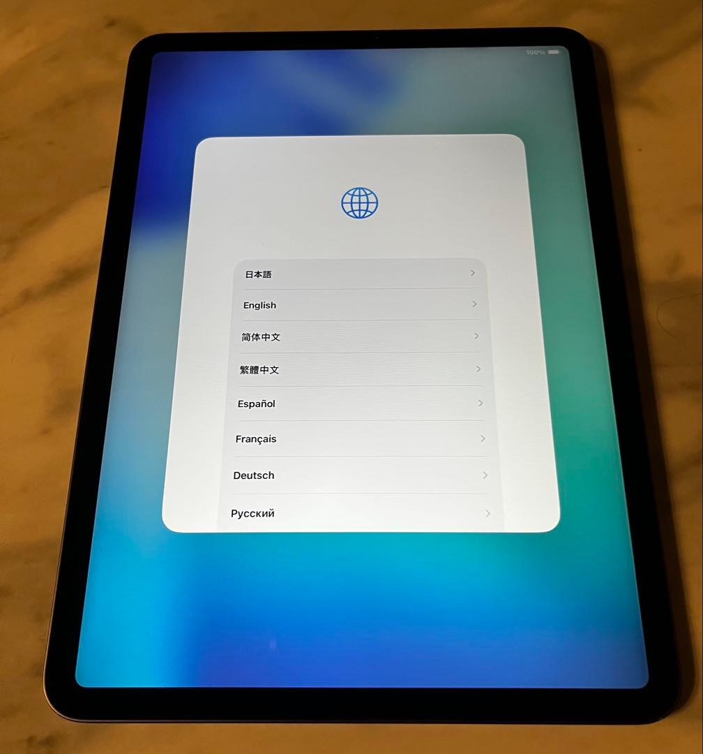 iPad Pro 11インチ (第1世代) 512GB スペースグレー