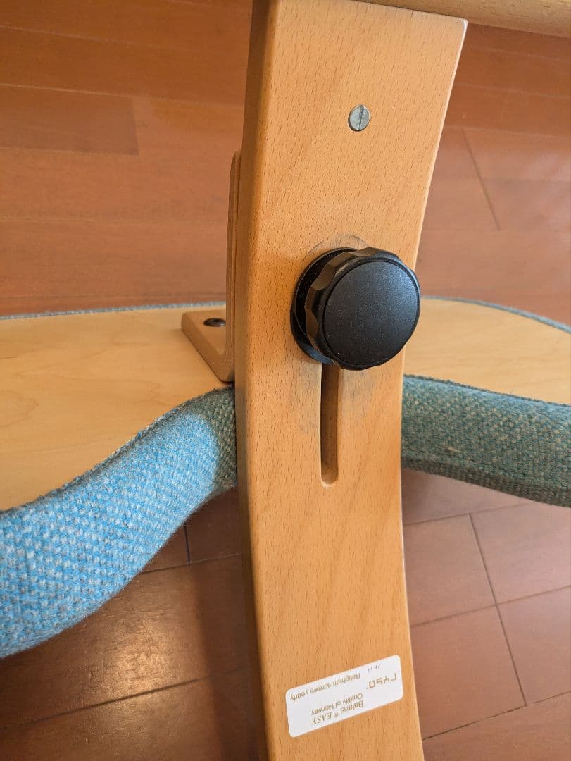 バランスチェア イージー