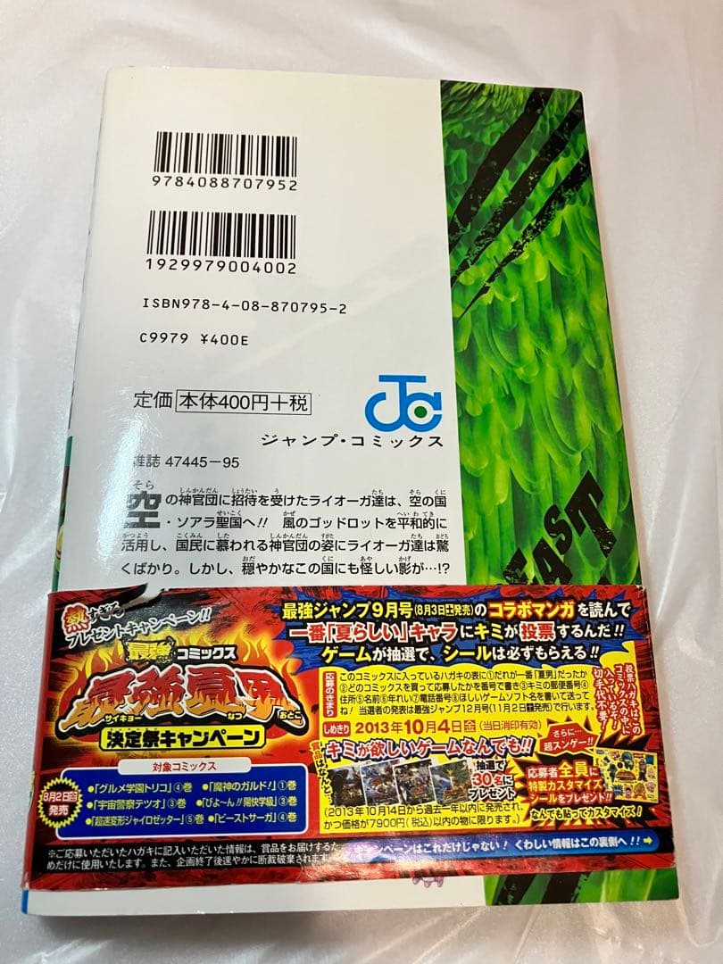 ビーストサーガ = BEAST SAGA 4 (ソアラ聖国)