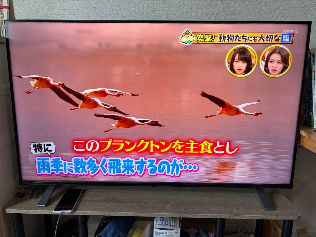 TOSHIBA REGZAC350Xシリーズ 50V型 4K液晶テレビ