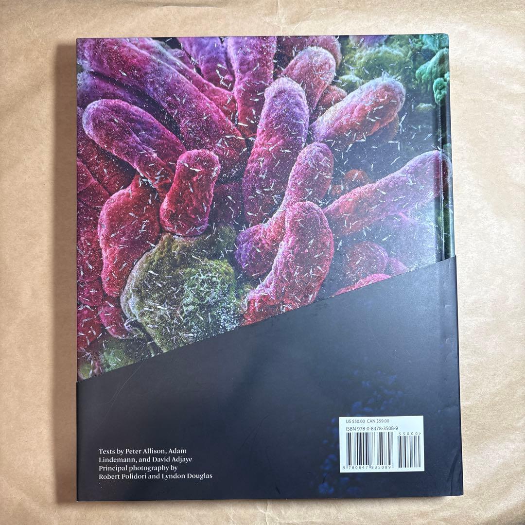 洋書 David Adjaye House For An Art Collector