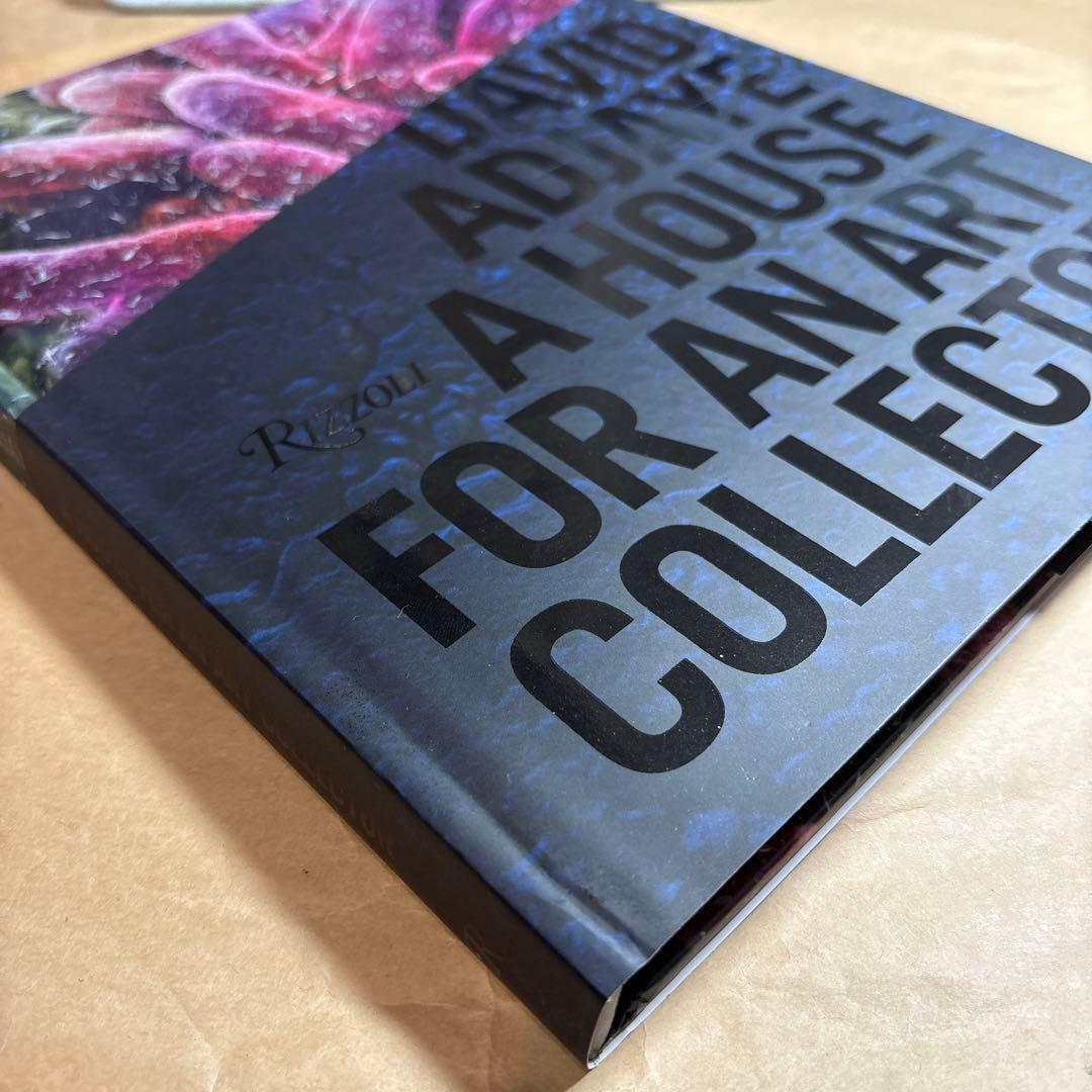 洋書 David Adjaye House For An Art Collector