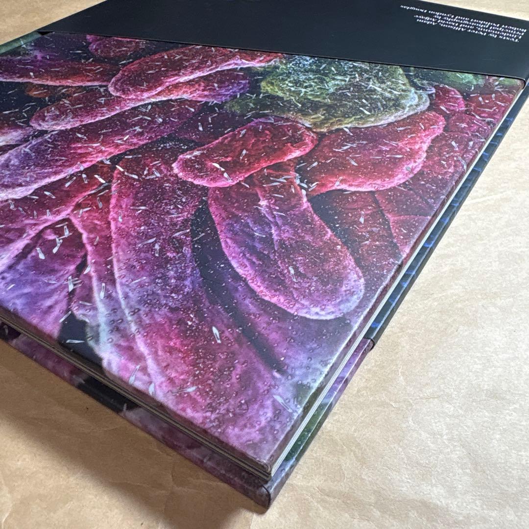 洋書 David Adjaye House For An Art Collector