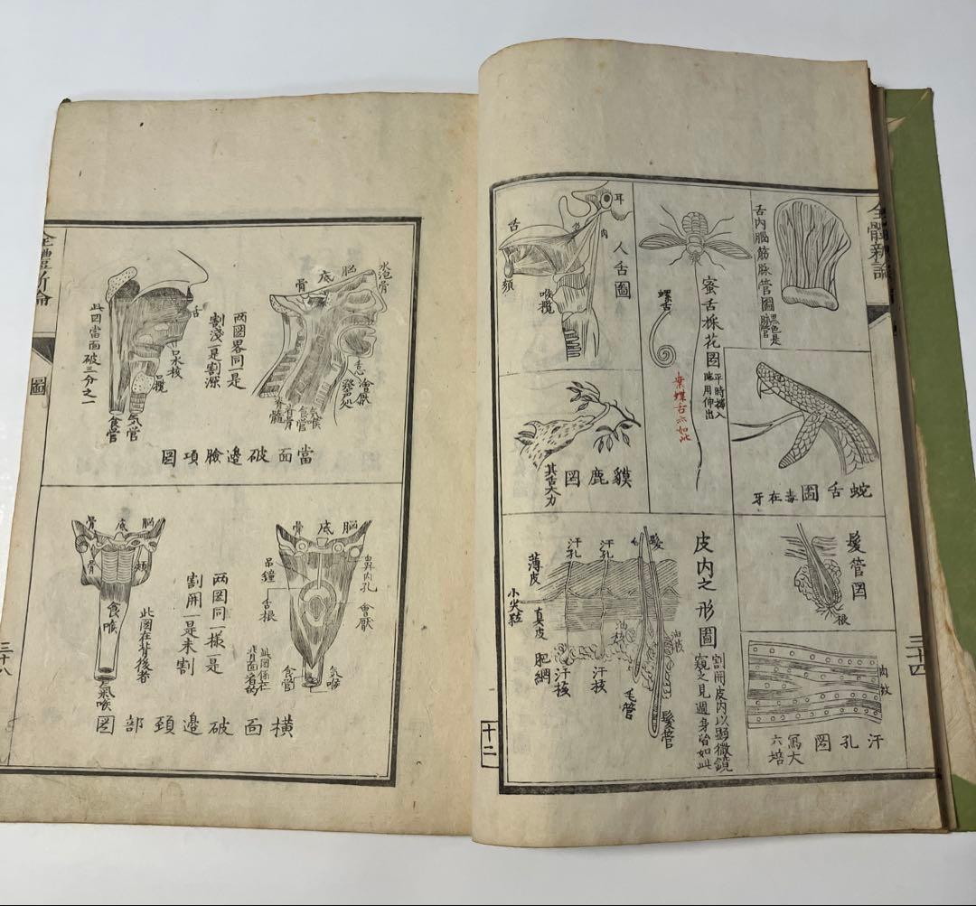 古書　解体新書　の様な、体の構造を描いた本　安政4年