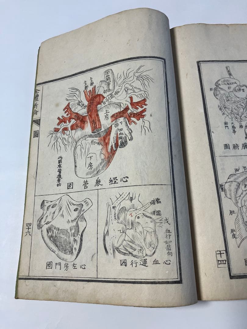 古書　解体新書　の様な、体の構造を描いた本　安政4年