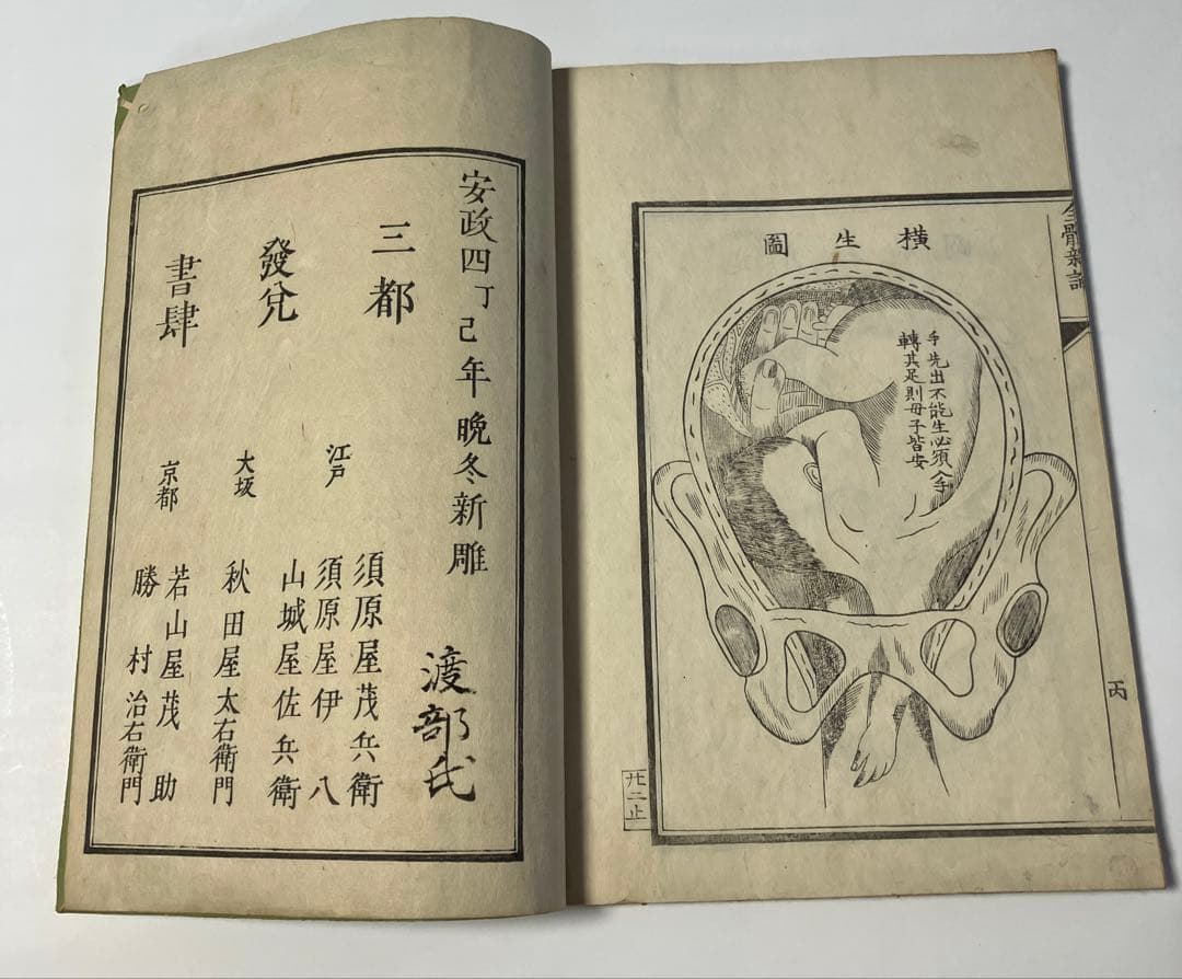 古書　解体新書　の様な、体の構造を描いた本　安政4年