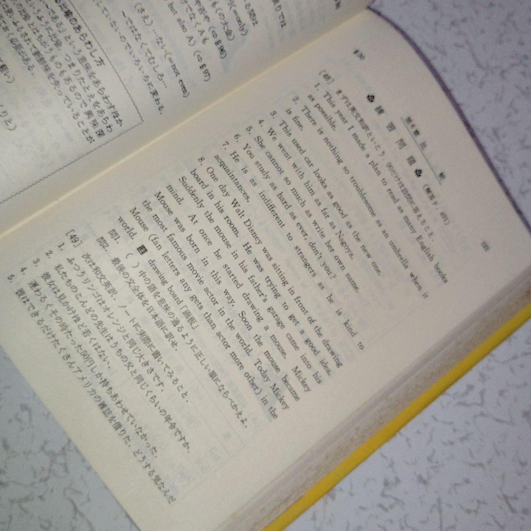 高校生の新総合英語解説 (改訂版) 英文法　英文読解　英作文　英文和訳　和文英訳