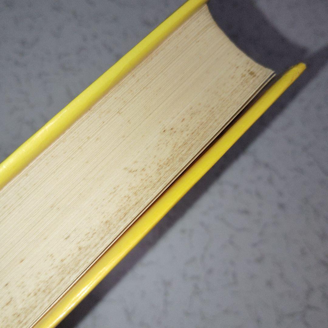 高校生の新総合英語解説 (改訂版) 英文法　英文読解　英作文　英文和訳　和文英訳