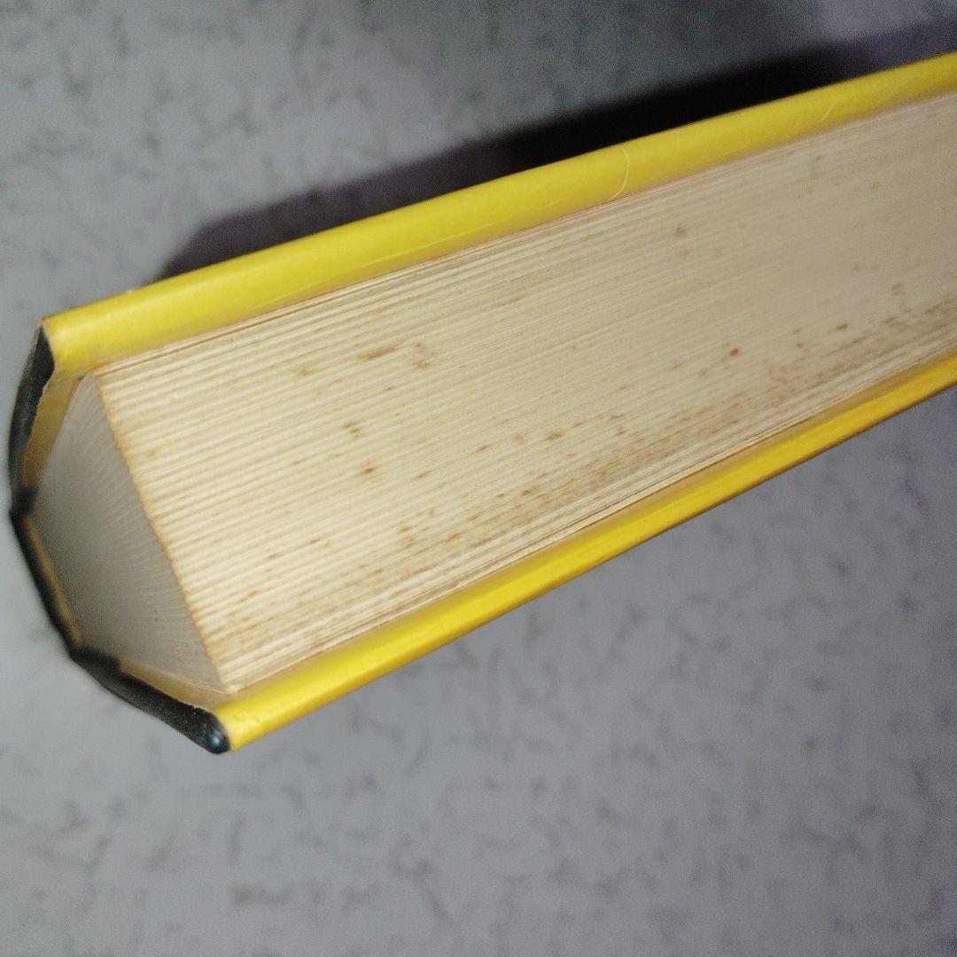 高校生の新総合英語解説 (改訂版) 英文法　英文読解　英作文　英文和訳　和文英訳