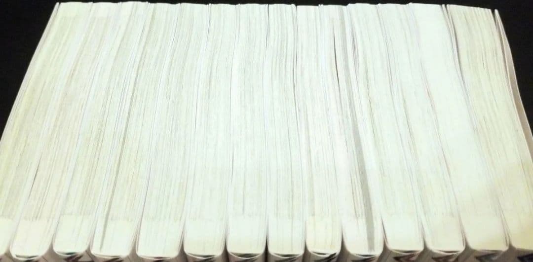 穏やか貴族の休暇のすすめ　コミック　全巻　セット　1～14巻　一読のみ　美品